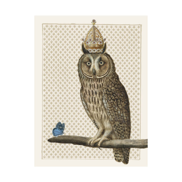 Vanilla Fly Plakat *King Owl*