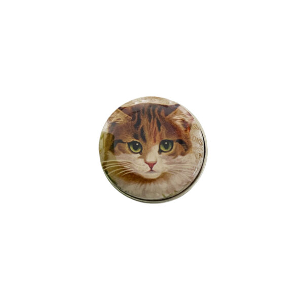 Pilleæske rund med en Kat